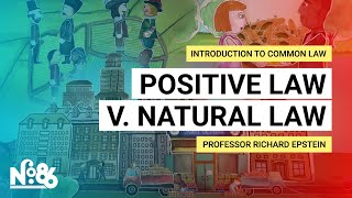 Positive Law v Natural Law Introduction to Common Law [upl. by Ennaus]