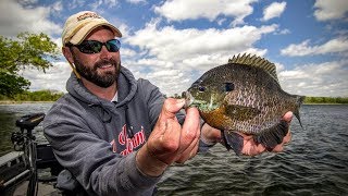 Panfish 101 — Angling Edge TV [upl. by Dnaletak]