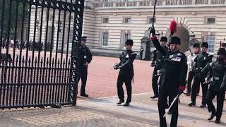 Changing of the Guard at Buckingham Palace [upl. by Nus]