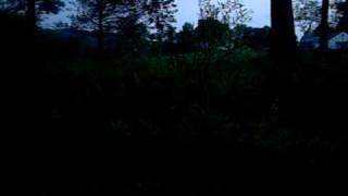 Sounds of the night near a freshwater marsh and pond in Western Massachusetts [upl. by Ahseet]