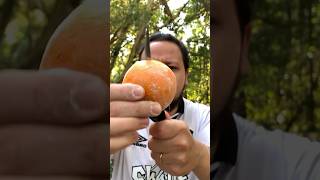 ACHEI UMA LARANJA RARA NA FLORESTA  VIRAL [upl. by Sirraf]