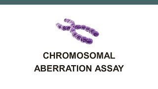 Chromosomal Aberration assay [upl. by Dragde187]