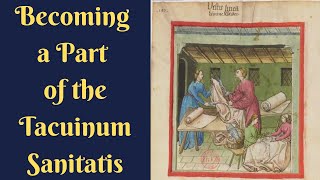 Recreating a scene from the Tacinum Sanitatis 15thCinTheory [upl. by Nathanoj]