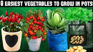 Top 8 Easy To Grow Vegetables For BeginnersSEED TO HARVEST [upl. by Plunkett]