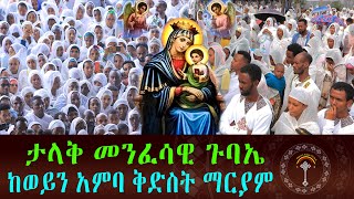 🛑LIVE ከወይን አምባ ቅድስት ማርያም ቤተክርስቲያን ታላቅ መንፈሳዊ ጉባኤ ንቁ ሚዲያ በቦታው ተገኝቶል እናተም በስደት ያላችሁ ለሌሎች ሼር ሼር አድርጉ [upl. by Signe558]