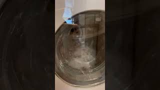 Miele WXR860 normal wash demo [upl. by Mulry]