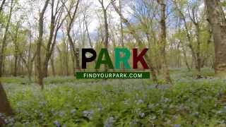 Manassas Battlefield Spring Bluebells [upl. by Auof275]