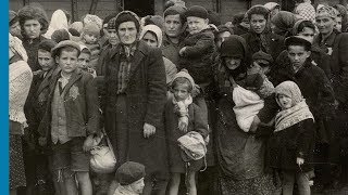 The Auschwitz Album Visual Evidence of the Process Leading to the Mass Murder at AuschwitzBirkenau [upl. by Aiclid]