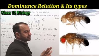 Dominance Relation  Types of Dominance Relation  Class 12 Biology [upl. by Leiuqeze993]