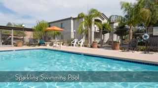 Deer Valley Regency  Apartments for Rent in Phoenix AZ [upl. by Reggy]