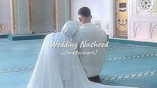 Wedding Nasheed  By Muhammad Al Muqit  SlowedReverb  Vocals Only [upl. by Imuya784]