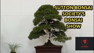 BONSAI SHOW RHS WISLEY [upl. by Nylirac318]