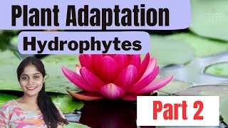 HYDROPHYTES PLANT ADAPTATION  ECOLOGICAL ADAPTATIONS biology csirnet neet [upl. by Aceissej]