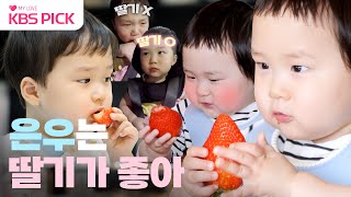 슈퍼맨이돌아왔다 딸기 줘 은우 최애 간식 딸기🍓딸기농장 차려주고픈 은우 딸기 먹방 모음😋｜KBS 방송 [upl. by Refinney]