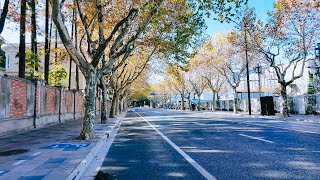 Huangjincheng Ave Changning District Shanghai【4K】 [upl. by Moshell]