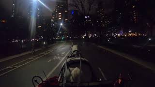 🌙 Evening Central Park Carriage Ride [upl. by Remsen]