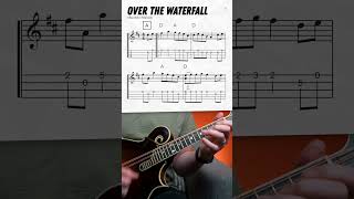 quotOver the Waterfallquot Mandolin Lesson shorts [upl. by Ahsitul]