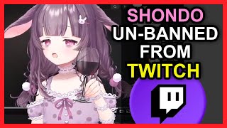 Does Twitch Hate Vtubers [upl. by Enobe]