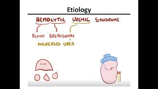 hemolytic uremic syndrome HUS [upl. by Nnylannej]