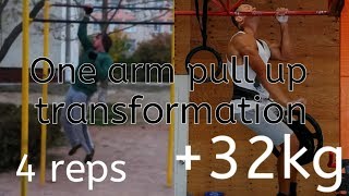 ONE ARM PULL UP TRANSFORMATION 2014 2018 [upl. by Ares496]