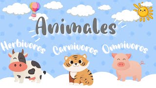 ANIMALES CARNÍVOROS HERBÍVOROS Y OMNÍVOROS  Para Niños [upl. by Ycrem509]