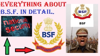 Everything About BSF [upl. by Winslow915]