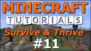 Minecraft Tutorials  E11 Cozy Cottage  Part 1 Survive and Thrive II [upl. by Auqinahs]