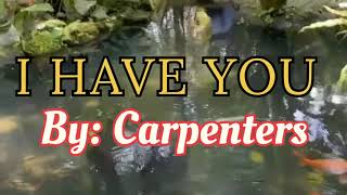 I Have You By Carpenters Karaoke Lyrics [upl. by Pacian]