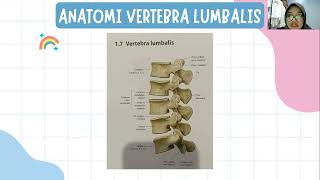 Anatomi Vertebra dan Musculi Regio Dorsum [upl. by Daughtry751]