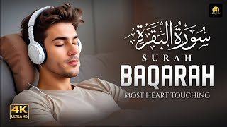 Surah Al Baqarah Full سورة البقرہ The Easiest Way to Memorize Surah Baqarah Entire Surah in 30 Days [upl. by Nydroj]