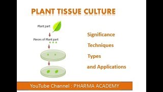 Plant Tissue Culture [upl. by Suk]