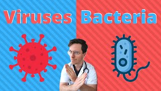 Bacteria vs viruses  What are the differences  Doctor Explains [upl. by Sashenka]