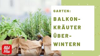 BalkonKräuter überwintern So geht’s  BILD der FRAU [upl. by Enoek]