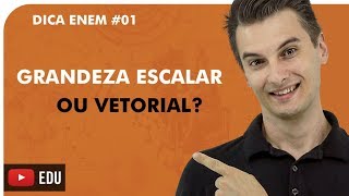 DIFERENÇA ENTRE GRANDEZA ESCALAR E VETORIAL  DICA ENEM  Prof Rafael I Bioexplica [upl. by Ahseile]