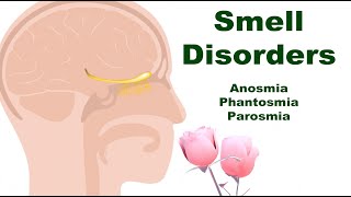 Smell Disorders Anosmia Phantosmia and Parosmia Why and What Happens [upl. by Ainex]