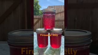 Fireweed Jelly [upl. by Mitzi]