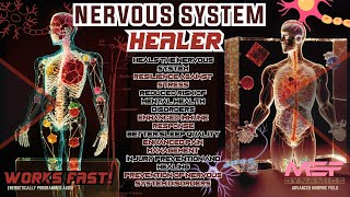 Nervous System Healer Super Underrated Advanced Morphic Field [upl. by Edialeda]