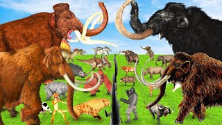 Animal vs Prehistoric mammals Long straight course   Animal Revolt Battle Simulator [upl. by Itnavart]