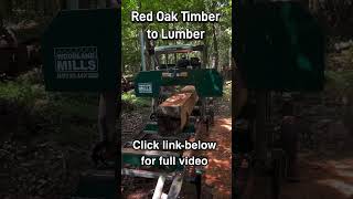 Red Oak Sawmill Lumber [upl. by Eirolav]