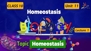 What is Homeostasis I Biology Chapter 11Homeostasis I Lecture1 homeostasis biologypenacademy [upl. by Ferdinanda]