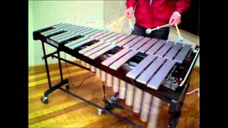 Vibraphone Techniques [upl. by Arleen112]