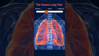 Test Human Lungs [upl. by Revlis650]