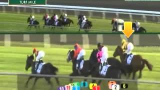 Night School 7  Trip Handicapping 41613 [upl. by Nossila]