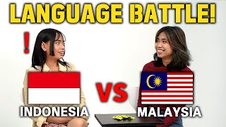 How Similar Are They Can They Understand Each Other Indonesia vs Malaysia [upl. by Adnavoj270]