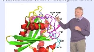 Alfred Wittinghofer MPI Part 1 GTPbinding Proteins as Molecular Switches [upl. by Yssor]