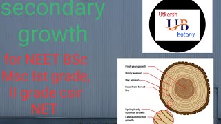 secondary growth and periderm [upl. by Mylo]