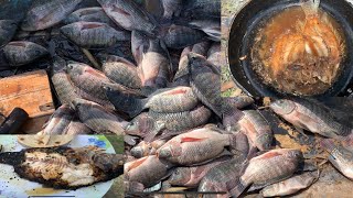 PESCA CON TRASMALLO EN LAGUNITA DE METAPAN [upl. by Matheson]