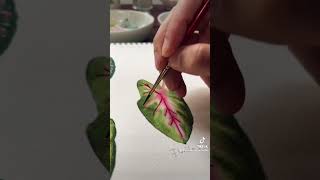 Painting caladiums in watercolor painting art watercolor flowers garden plants [upl. by Soalokcin]