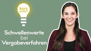 Schwellenwerte bei Vergabeverfahren  Kurz erklärt 2  BI MEDIEN [upl. by Walley]