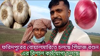 ফরিদপুরের পিঁয়াজ চাষ নিয়ে অজানা সব তথ্য ফাঁস । BOALMARI TODAY 21 [upl. by Maggee]